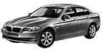 BMW F10 P177C Fault Code